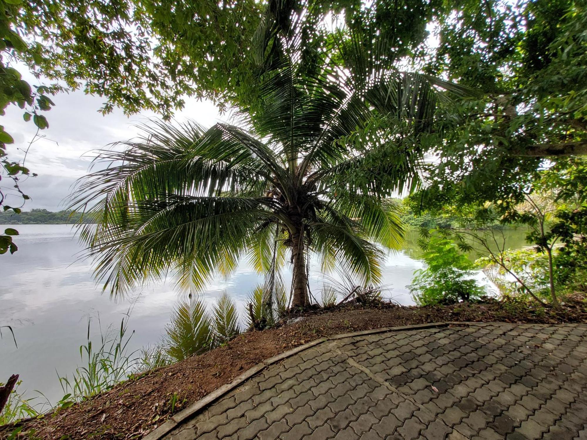 Lake Wave Hotel Anuradhapura Esterno foto
