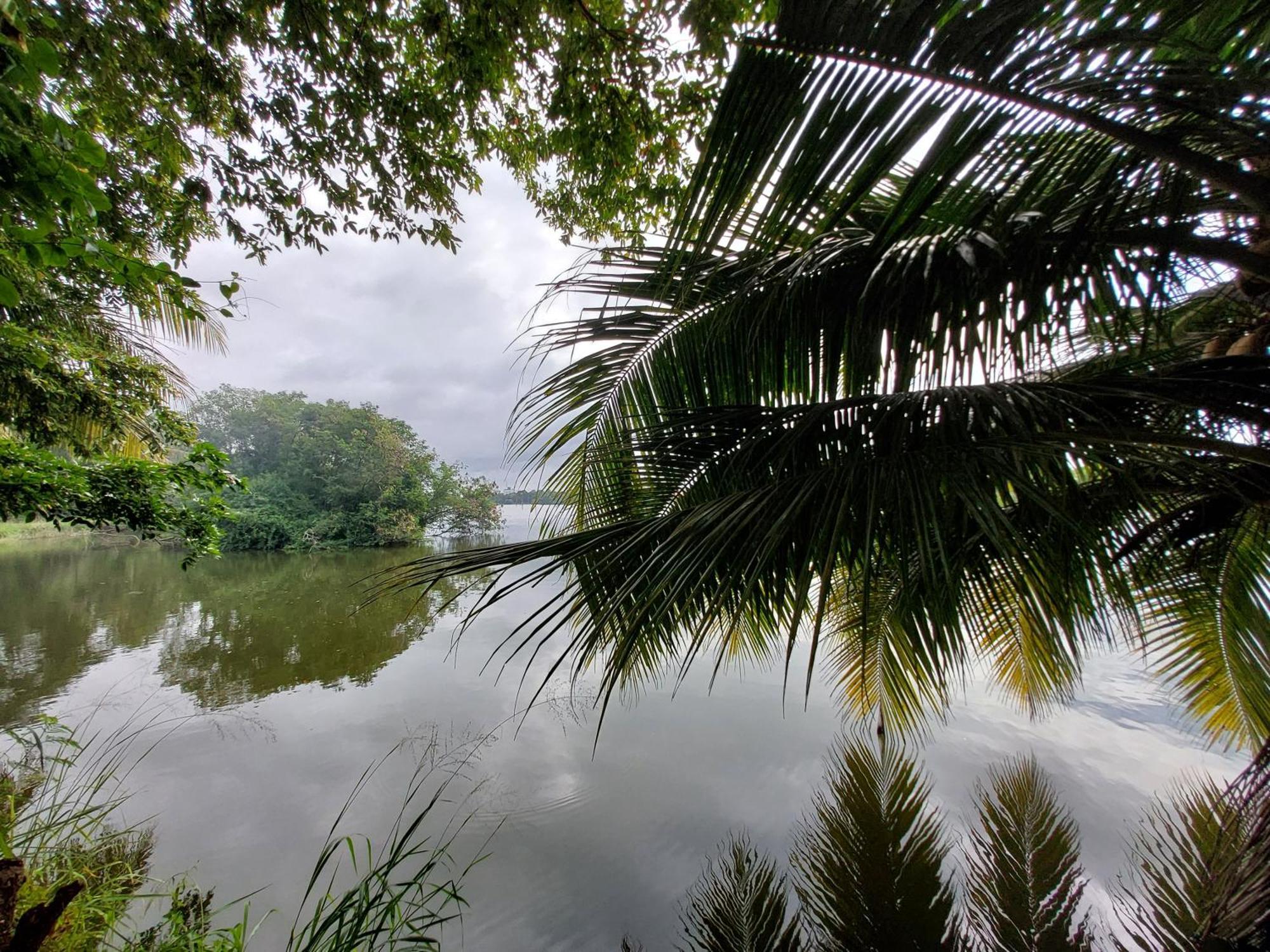 Lake Wave Hotel Anuradhapura Esterno foto