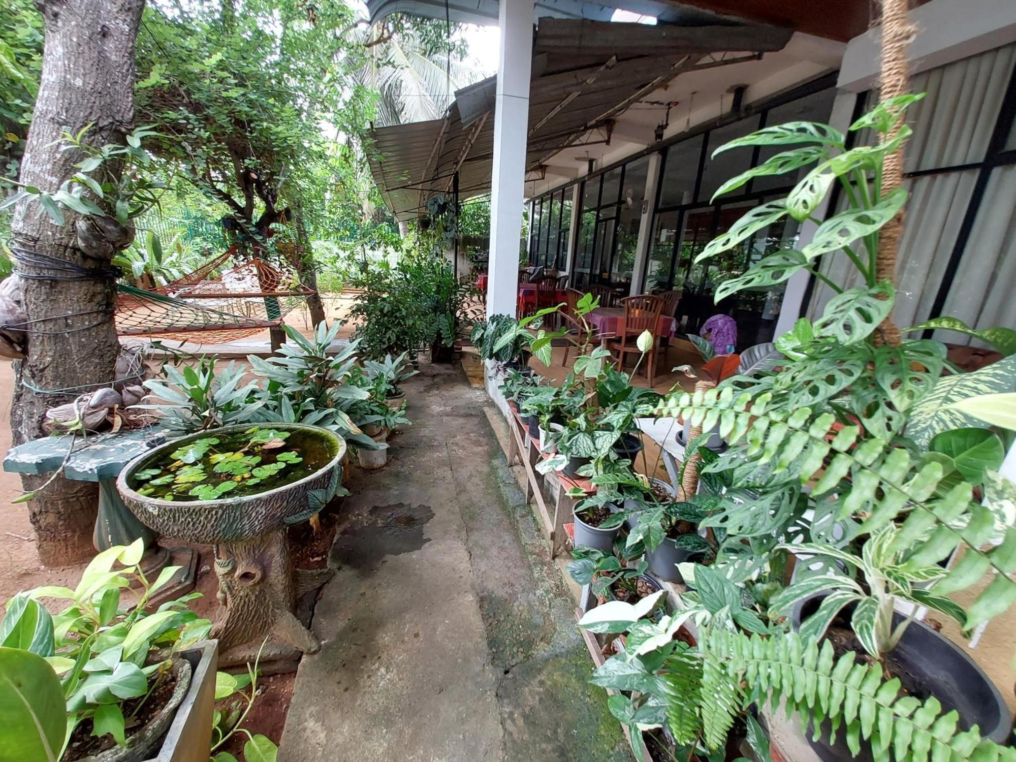 Lake Wave Hotel Anuradhapura Esterno foto